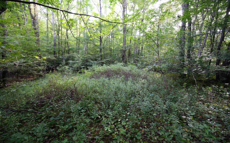 Lot 1 Deep Hollow Drive, Kingwood, West Virginia 26537, 0 , 0 ,0,Lots/land,For Sale,Deep Hollow,0,10166983