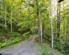 378 Sand Run Road, Davis, West Virginia 26260, 2 Bedroom Bedrooms, 8 Room Rooms,2 BathroomBathrooms,Single Family Detached,For Sale,Sand Run,0,10167011 378 Sand Run Road, Davis, West Virginia 26260, 2 Bedroom Bedrooms, 8 Room Rooms,2 BathroomBathrooms,Single Family Detached,For Sale,Sand Run,0,10167011