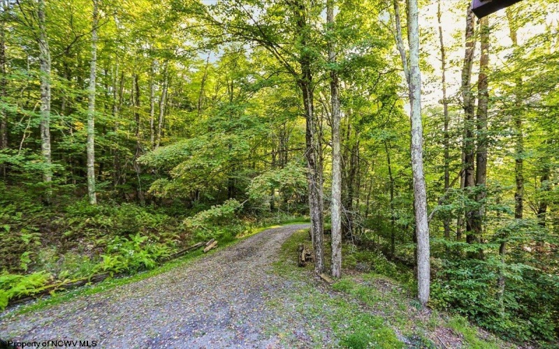 378 Sand Run Road, Davis, West Virginia 26260, 2 Bedroom Bedrooms, 8 Room Rooms,2 BathroomBathrooms,Single Family Detached,For Sale,Sand Run,0,10167011 378 Sand Run Road, Davis, West Virginia 26260, 2 Bedroom Bedrooms, 8 Room Rooms,2 BathroomBathrooms,Single Family Detached,For Sale,Sand Run,0,10167011