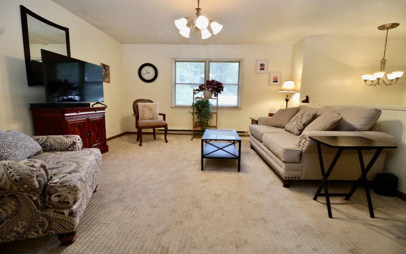 49 Berry Patch Lane, Elkins, West Virginia 26241, 3 Bedroom Bedrooms, 7 Room Rooms,2 BathroomBathrooms,Single Family Detached,For Sale,Berry Patch,0,10167013