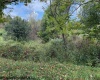 2229 Morgantown Pike, Belington, West Virginia 26250, 0 , 0 ,0,Lots/land,For Sale,Morgantown,0,10167019