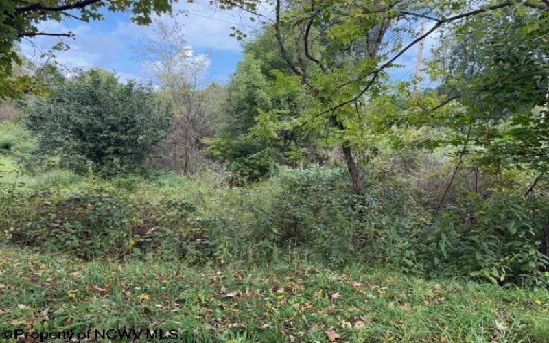 2229 Morgantown Pike, Belington, West Virginia 26250, 0 , 0 ,0,Lots/land,For Sale,Morgantown,0,10167019