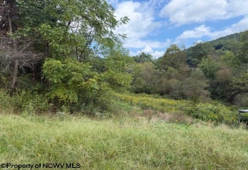 2229 Morgantown Pike, Belington, West Virginia 26250, 0 , 0 ,0,Lots/land,For Sale,Morgantown,0,10167019