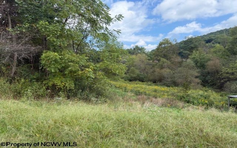 2229 Morgantown Pike, Belington, West Virginia 26250, 0 , 0 ,0,Lots/land,For Sale,Morgantown,0,10167019