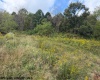 2229 Morgantown Pike, Belington, West Virginia 26250, 0 , 0 ,0,Lots/land,For Sale,Morgantown,0,10167019
