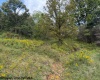 2229 Morgantown Pike, Belington, West Virginia 26250, 0 , 0 ,0,Lots/land,For Sale,Morgantown,0,10167019