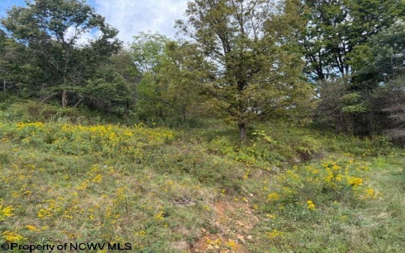 2229 Morgantown Pike, Belington, West Virginia 26250, 0 , 0 ,0,Lots/land,For Sale,Morgantown,0,10167019