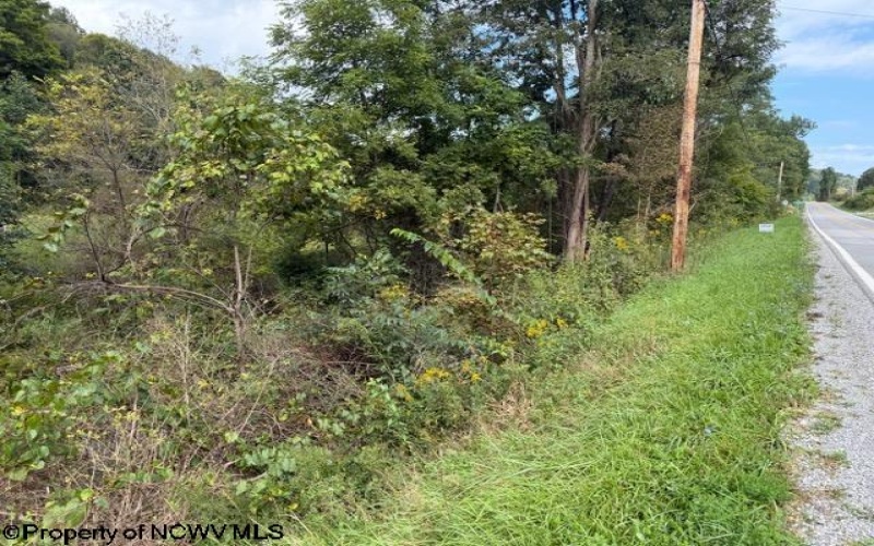 2229 Morgantown Pike, Belington, West Virginia 26250, 0 , 0 ,0,Lots/land,For Sale,Morgantown,0,10167019