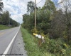 2229 Morgantown Pike, Belington, West Virginia 26250, 0 , 0 ,0,Lots/land,For Sale,Morgantown,0,10167019