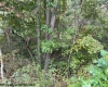 2229 Morgantown Pike, Belington, West Virginia 26250, 0 , 0 ,0,Lots/land,For Sale,Morgantown,0,10167019