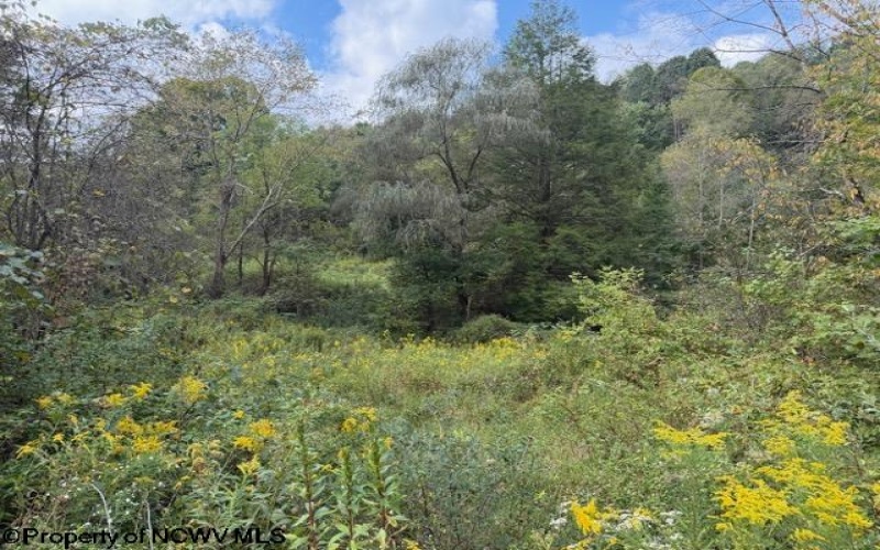 2229 Morgantown Pike, Belington, West Virginia 26250, 0 , 0 ,0,Lots/land,For Sale,Morgantown,0,10167019