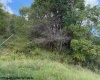 2229 Morgantown Pike, Belington, West Virginia 26250, 0 , 0 ,0,Lots/land,For Sale,Morgantown,0,10167019