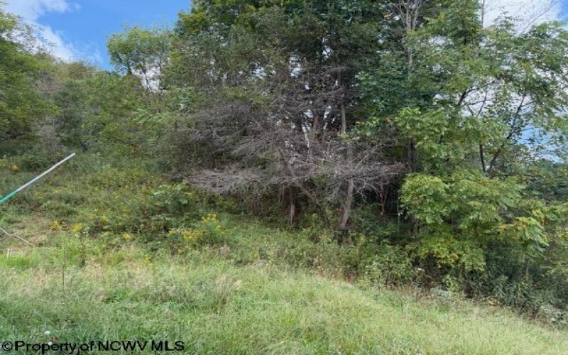 2229 Morgantown Pike, Belington, West Virginia 26250, 0 , 0 ,0,Lots/land,For Sale,Morgantown,0,10167019