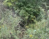2229 Morgantown Pike, Belington, West Virginia 26250, 0 , 0 ,0,Lots/land,For Sale,Morgantown,0,10167019
