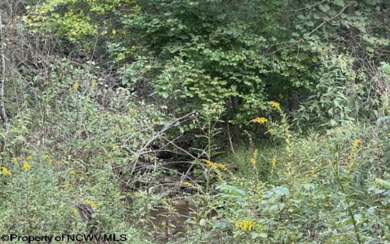 2229 Morgantown Pike, Belington, West Virginia 26250, 0 , 0 ,0,Lots/land,For Sale,Morgantown,0,10167019