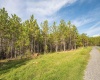 11 & 12 Crosscut Way, Davis, West Virginia 26260, 0 , 0 ,0,Lots/land,For Sale,Crosscut,0,10167028 11 & 12 Crosscut Way, Davis, West Virginia 26260, 0 , 0 ,0,Lots/land,For Sale,Crosscut,0,10167028