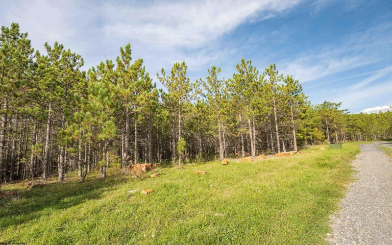 11 & 12 Crosscut Way, Davis, West Virginia 26260, 0 , 0 ,0,Lots/land,For Sale,Crosscut,0,10167028 11 & 12 Crosscut Way, Davis, West Virginia 26260, 0 , 0 ,0,Lots/land,For Sale,Crosscut,0,10167028