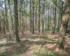 11 & 12 Crosscut Way, Davis, West Virginia 26260, 0 , 0 ,0,Lots/land,For Sale,Crosscut,0,10167028 11 & 12 Crosscut Way, Davis, West Virginia 26260, 0 , 0 ,0,Lots/land,For Sale,Crosscut,0,10167028