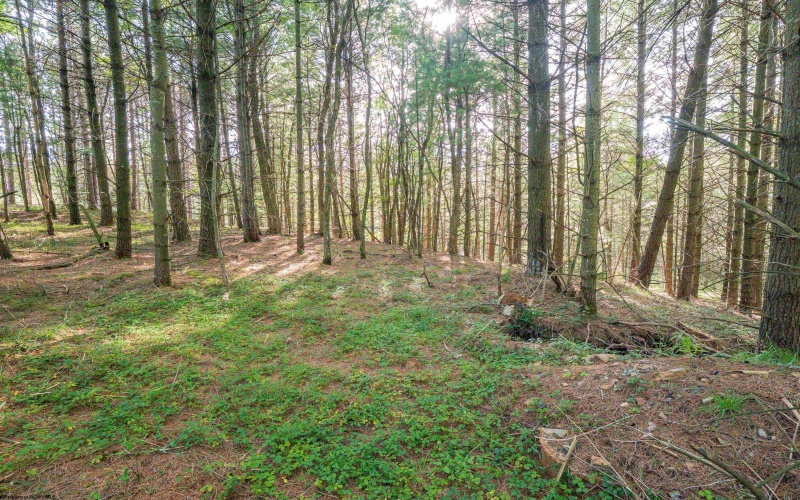 11 & 12 Crosscut Way, Davis, West Virginia 26260, 0 , 0 ,0,Lots/land,For Sale,Crosscut,0,10167028 11 & 12 Crosscut Way, Davis, West Virginia 26260, 0 , 0 ,0,Lots/land,For Sale,Crosscut,0,10167028