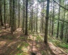 11 & 12 Crosscut Way, Davis, West Virginia 26260, 0 , 0 ,0,Lots/land,For Sale,Crosscut,0,10167028 11 & 12 Crosscut Way, Davis, West Virginia 26260, 0 , 0 ,0,Lots/land,For Sale,Crosscut,0,10167028