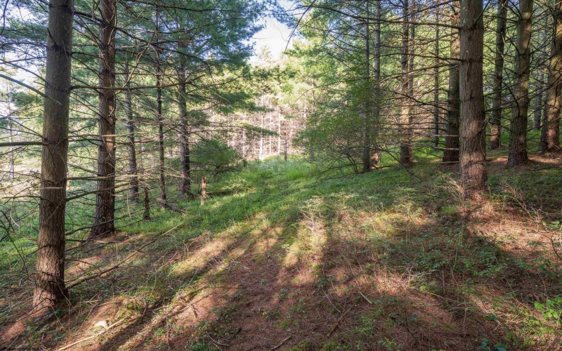 11 & 12 Crosscut Way, Davis, West Virginia 26260, 0 , 0 ,0,Lots/land,For Sale,Crosscut,0,10167028 11 & 12 Crosscut Way, Davis, West Virginia 26260, 0 , 0 ,0,Lots/land,For Sale,Crosscut,0,10167028