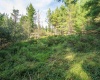 11 & 12 Crosscut Way, Davis, West Virginia 26260, 0 , 0 ,0,Lots/land,For Sale,Crosscut,0,10167028 11 & 12 Crosscut Way, Davis, West Virginia 26260, 0 , 0 ,0,Lots/land,For Sale,Crosscut,0,10167028
