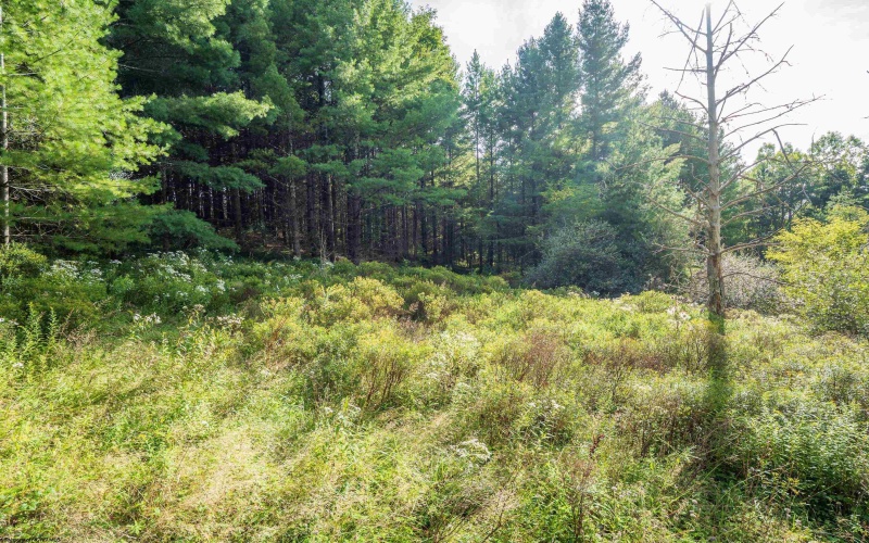 11 & 12 Crosscut Way, Davis, West Virginia 26260, 0 , 0 ,0,Lots/land,For Sale,Crosscut,0,10167028 11 & 12 Crosscut Way, Davis, West Virginia 26260, 0 , 0 ,0,Lots/land,For Sale,Crosscut,0,10167028