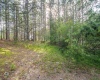 11 & 12 Crosscut Way, Davis, West Virginia 26260, 0 , 0 ,0,Lots/land,For Sale,Crosscut,0,10167028 11 & 12 Crosscut Way, Davis, West Virginia 26260, 0 , 0 ,0,Lots/land,For Sale,Crosscut,0,10167028