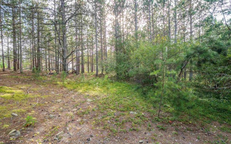 11 & 12 Crosscut Way, Davis, West Virginia 26260, 0 , 0 ,0,Lots/land,For Sale,Crosscut,0,10167028 11 & 12 Crosscut Way, Davis, West Virginia 26260, 0 , 0 ,0,Lots/land,For Sale,Crosscut,0,10167028