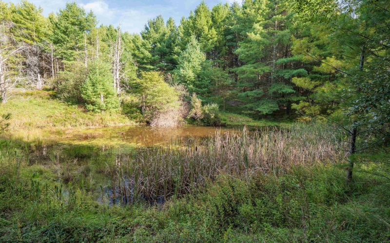 11 & 12 Crosscut Way, Davis, West Virginia 26260, 0 , 0 ,0,Lots/land,For Sale,Crosscut,0,10167028 11 & 12 Crosscut Way, Davis, West Virginia 26260, 0 , 0 ,0,Lots/land,For Sale,Crosscut,0,10167028