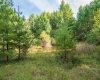 11 & 12 Crosscut Way, Davis, West Virginia 26260, 0 , 0 ,0,Lots/land,For Sale,Crosscut,0,10167028 11 & 12 Crosscut Way, Davis, West Virginia 26260, 0 , 0 ,0,Lots/land,For Sale,Crosscut,0,10167028