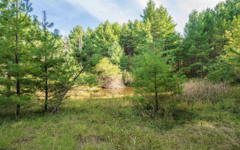 11 & 12 Crosscut Way, Davis, West Virginia 26260, 0 , 0 ,0,Lots/land,For Sale,Crosscut,0,10167028 11 & 12 Crosscut Way, Davis, West Virginia 26260, 0 , 0 ,0,Lots/land,For Sale,Crosscut,0,10167028