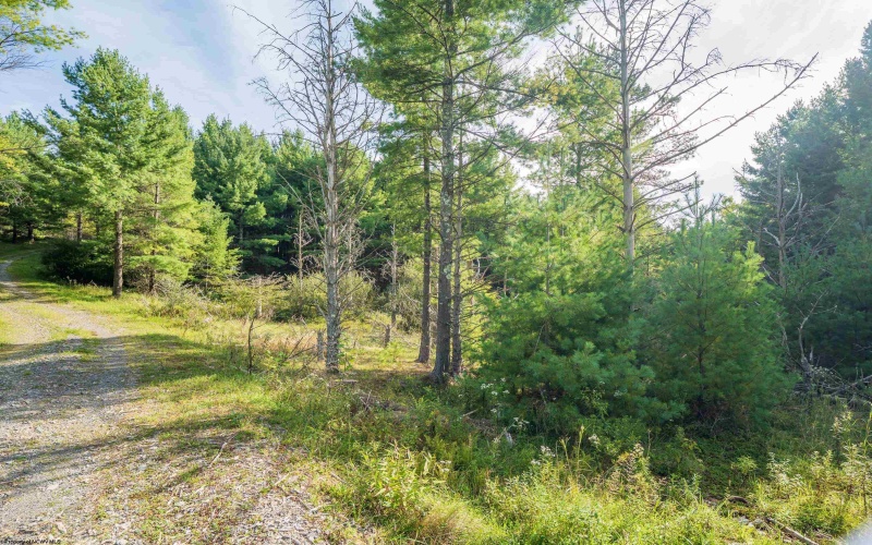11 & 12 Crosscut Way, Davis, West Virginia 26260, 0 , 0 ,0,Lots/land,For Sale,Crosscut,0,10167028 11 & 12 Crosscut Way, Davis, West Virginia 26260, 0 , 0 ,0,Lots/land,For Sale,Crosscut,0,10167028