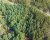 11 & 12 Crosscut Way, Davis, West Virginia 26260, 0 , 0 ,0,Lots/land,For Sale,Crosscut,0,10167028 11 & 12 Crosscut Way, Davis, West Virginia 26260, 0 , 0 ,0,Lots/land,For Sale,Crosscut,0,10167028