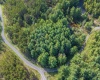 11 & 12 Crosscut Way, Davis, West Virginia 26260, 0 , 0 ,0,Lots/land,For Sale,Crosscut,0,10167028 11 & 12 Crosscut Way, Davis, West Virginia 26260, 0 , 0 ,0,Lots/land,For Sale,Crosscut,0,10167028