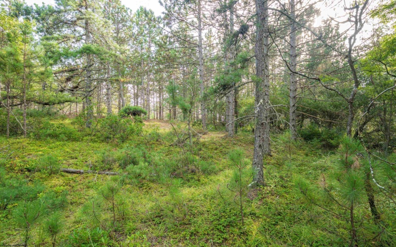 11 & 12 Crosscut Way, Davis, West Virginia 26260, 0 , 0 ,0,Lots/land,For Sale,Crosscut,0,10167028 11 & 12 Crosscut Way, Davis, West Virginia 26260, 0 , 0 ,0,Lots/land,For Sale,Crosscut,0,10167028