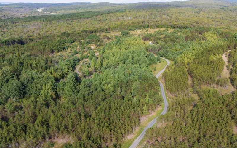 11 & 12 Crosscut Way, Davis, West Virginia 26260, 0 , 0 ,0,Lots/land,For Sale,Crosscut,0,10167028 11 & 12 Crosscut Way, Davis, West Virginia 26260, 0 , 0 ,0,Lots/land,For Sale,Crosscut,0,10167028