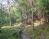11 & 12 Crosscut Way, Davis, West Virginia 26260, 0 , 0 ,0,Lots/land,For Sale,Crosscut,0,10167028 11 & 12 Crosscut Way, Davis, West Virginia 26260, 0 , 0 ,0,Lots/land,For Sale,Crosscut,0,10167028