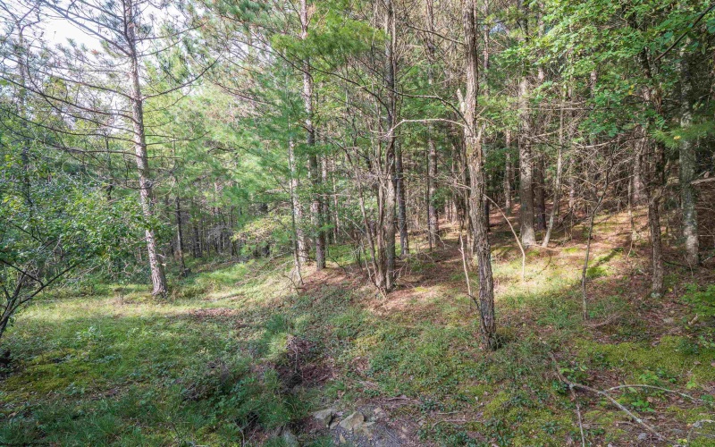 11 & 12 Crosscut Way, Davis, West Virginia 26260, 0 , 0 ,0,Lots/land,For Sale,Crosscut,0,10167028 11 & 12 Crosscut Way, Davis, West Virginia 26260, 0 , 0 ,0,Lots/land,For Sale,Crosscut,0,10167028