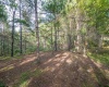 11 & 12 Crosscut Way, Davis, West Virginia 26260, 0 , 0 ,0,Lots/land,For Sale,Crosscut,0,10167028 11 & 12 Crosscut Way, Davis, West Virginia 26260, 0 , 0 ,0,Lots/land,For Sale,Crosscut,0,10167028