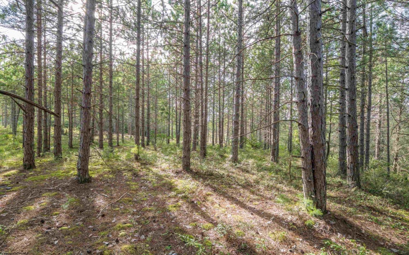 11 & 12 Crosscut Way, Davis, West Virginia 26260, 0 , 0 ,0,Lots/land,For Sale,Crosscut,0,10167028 11 & 12 Crosscut Way, Davis, West Virginia 26260, 0 , 0 ,0,Lots/land,For Sale,Crosscut,0,10167028