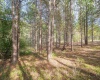11 & 12 Crosscut Way, Davis, West Virginia 26260, 0 , 0 ,0,Lots/land,For Sale,Crosscut,0,10167028 11 & 12 Crosscut Way, Davis, West Virginia 26260, 0 , 0 ,0,Lots/land,For Sale,Crosscut,0,10167028