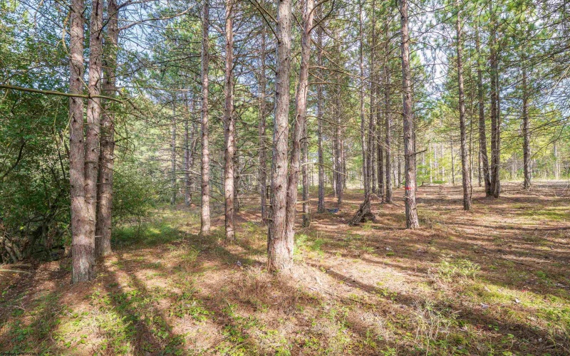 11 & 12 Crosscut Way, Davis, West Virginia 26260, 0 , 0 ,0,Lots/land,For Sale,Crosscut,0,10167028 11 & 12 Crosscut Way, Davis, West Virginia 26260, 0 , 0 ,0,Lots/land,For Sale,Crosscut,0,10167028