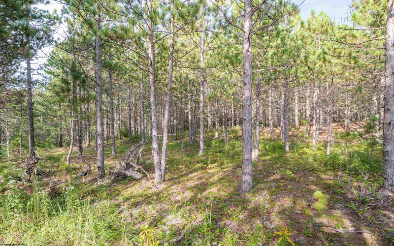 11 & 12 Crosscut Way, Davis, West Virginia 26260, 0 , 0 ,0,Lots/land,For Sale,Crosscut,0,10167028 11 & 12 Crosscut Way, Davis, West Virginia 26260, 0 , 0 ,0,Lots/land,For Sale,Crosscut,0,10167028