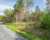 3 Crosscut Way, Davis, West Virginia 26260, 0 , 0 ,0,Lots/land,For Sale,Crosscut,0,10167026