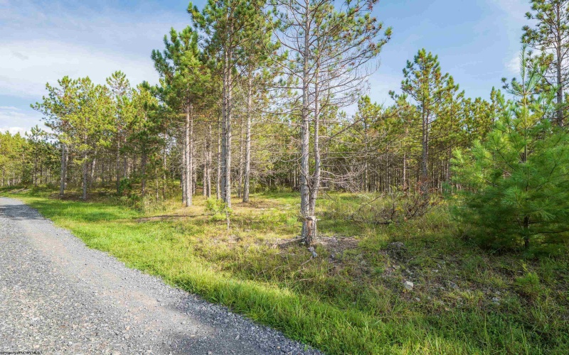 3 Crosscut Way, Davis, West Virginia 26260, 0 , 0 ,0,Lots/land,For Sale,Crosscut,0,10167026