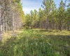 3 Crosscut Way, Davis, West Virginia 26260, 0 , 0 ,0,Lots/land,For Sale,Crosscut,0,10167026