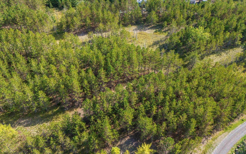 3 Crosscut Way, Davis, West Virginia 26260, 0 , 0 ,0,Lots/land,For Sale,Crosscut,0,10167026