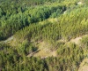 3 Crosscut Way, Davis, West Virginia 26260, 0 , 0 ,0,Lots/land,For Sale,Crosscut,0,10167026