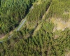 3 Crosscut Way, Davis, West Virginia 26260, 0 , 0 ,0,Lots/land,For Sale,Crosscut,0,10167026